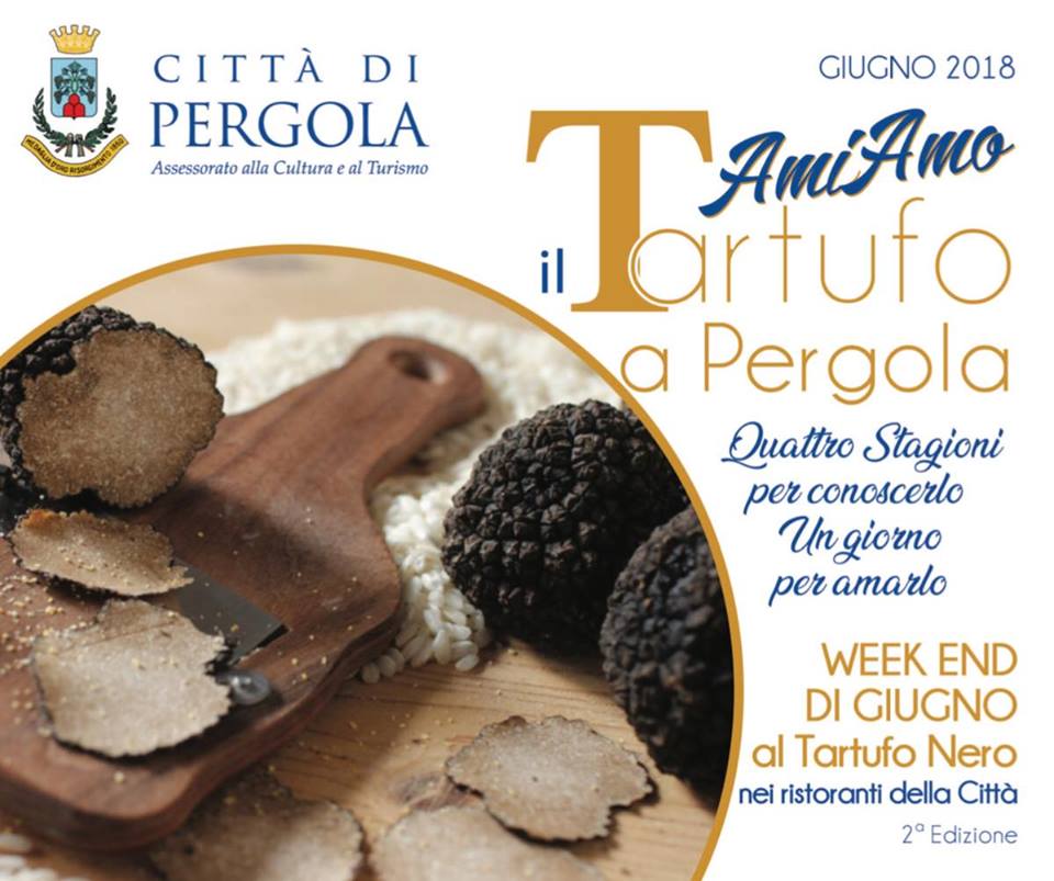 34690204_10216081865870265_227021723474591744_n