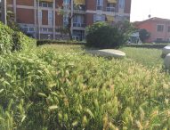 La Tua Fano: “Sassonia, lungomare in uno stato di degrado e incuria inaccettabili”