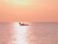 Fano, successo per il trailer di ‘PescAmare’