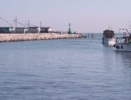 PescAmare, sabato e lunedì le proiezioni al Malatesta