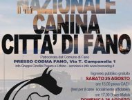 A Fano esposizione nazionale canina