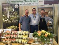 A Terra Madre Salone del Gusto in vetrina la fava di Fratte Rosa Presidio Slow Food