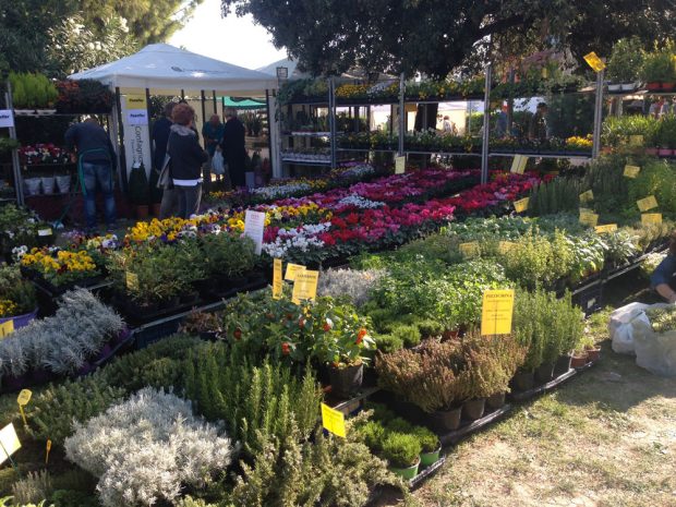 La mostra mercato di Fano Fiorisce ha colorato i giardini della Rocca
