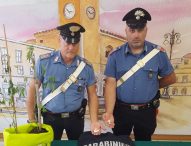 Spaccio: arrestati un grossista e tre pusher, recuperati un etto e mezzo di cocaina e 4 mila euro
