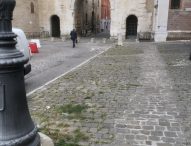 Mirisola: “‘Fano fiorisce’ ma la città è piena di erbacce”