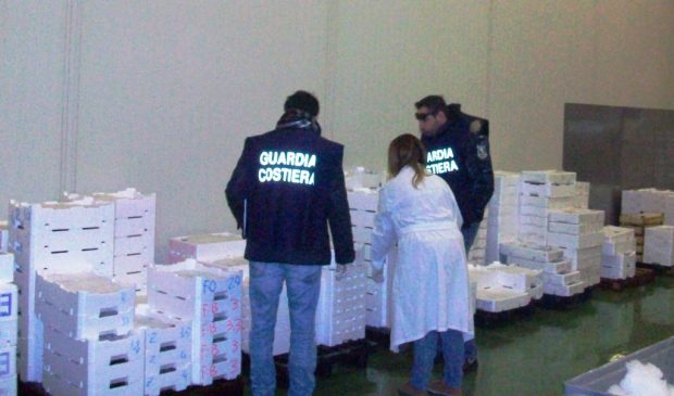 Controlli sulla filiera della pesca: sanzioni per oltre 12mila euro, sequestrati 194 chilogrammi di prodotto ittico