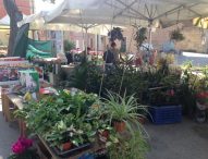 Conclusa una grande edizione di Fano Fiorisce