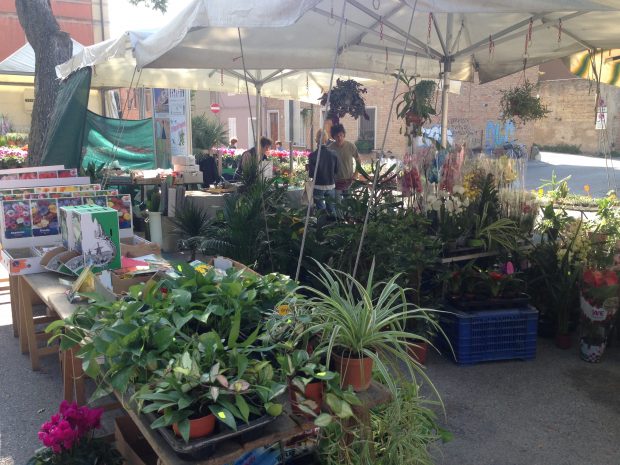 Conclusa una grande edizione di Fano Fiorisce