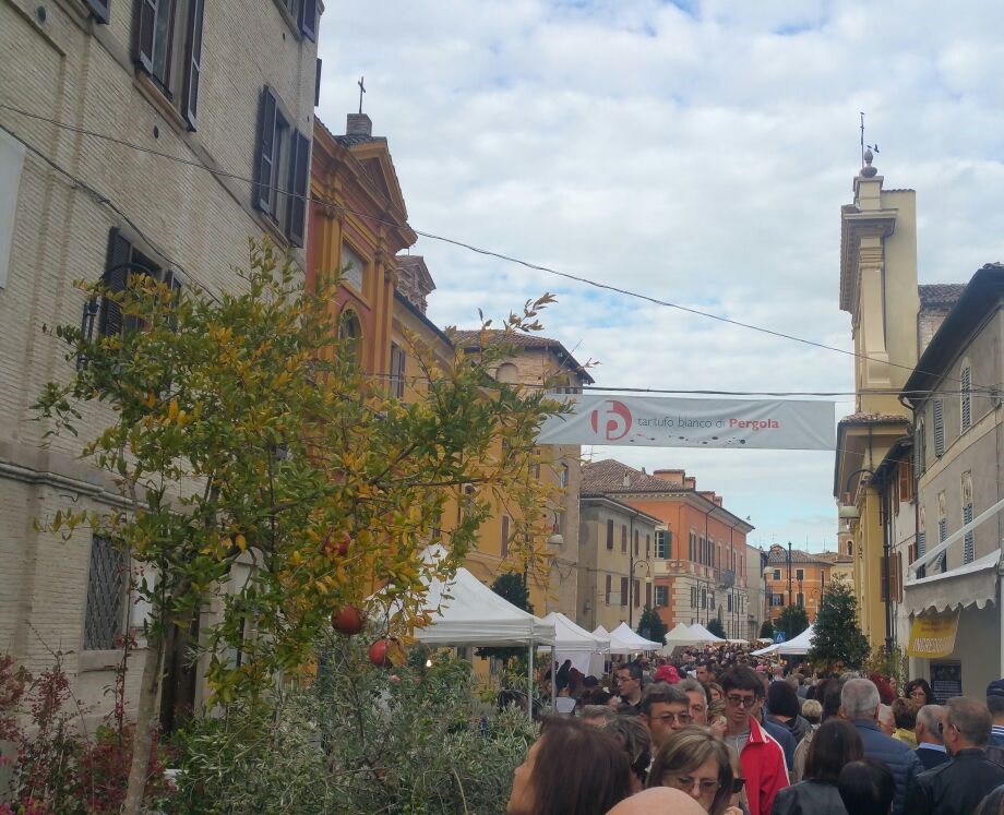 pergola-fiera tartufo-2017