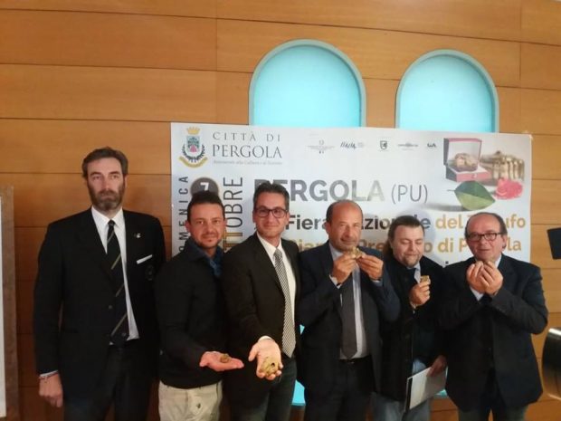 Al via la Fiera Nazionale del Tartufo Bianco Pregiato di Pergola. Istituita commissione per garantire qualità del prezioso tubero