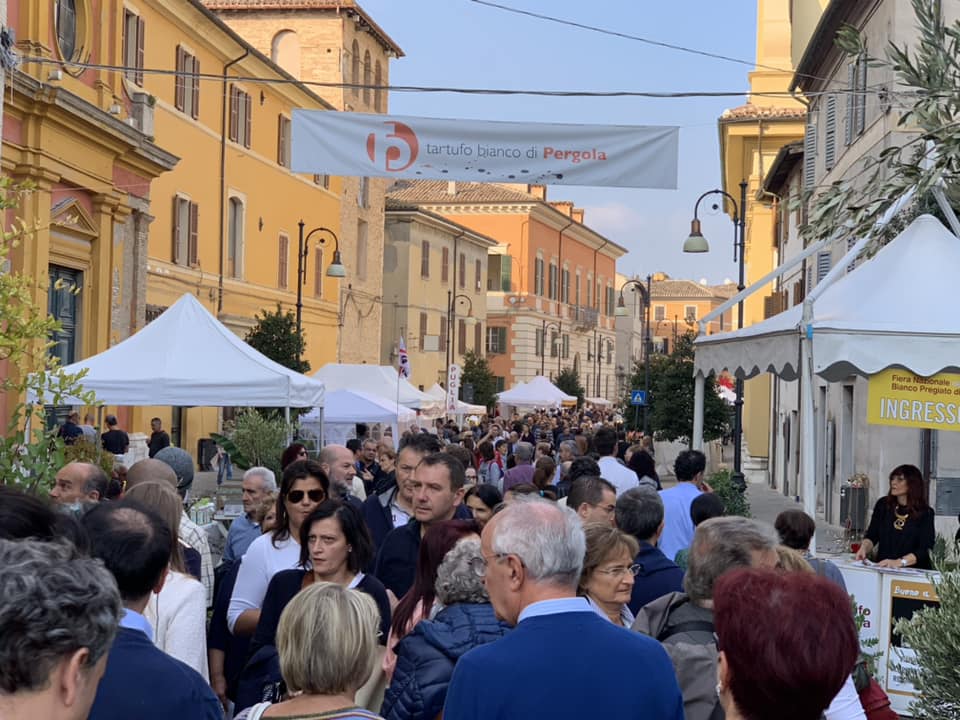 pergola fiera tartufo seconda domenica