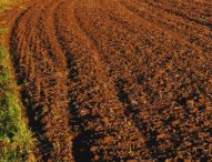 Coldiretti Marche: “Terra troppo cara, un freno per i giovani: +32% euro/ettaro”