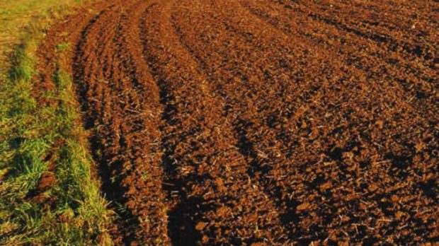 Coldiretti Marche: “Terra troppo cara, un freno per i giovani: +32% euro/ettaro”