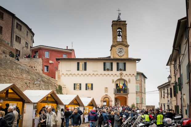 Cartoceto Dop, Il Festival: edizione record e ottime vendite