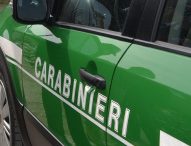 Catria, 3.000 mq di alberi abbattuti