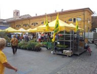 Riapre il mercato cittadino di Fano. Ecco le regole da seguire