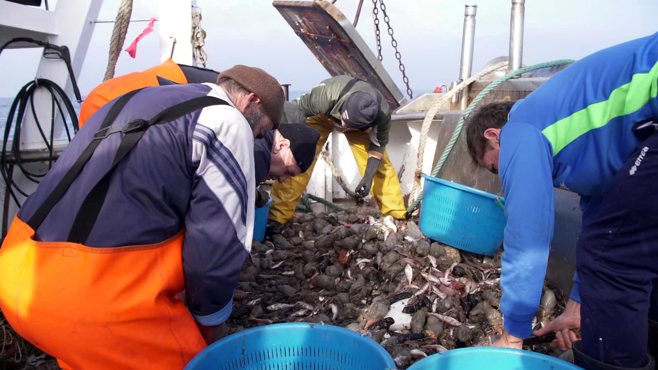 Frames PESCAMARE (12)