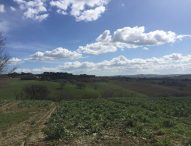 I giovani riscoprono l’agricoltura: nata un’impresa al giorno nel 2018