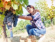 8 Marzo, è rosa più di un’impresa agricola su 4: donne alla guida dell’innovazione in campagna