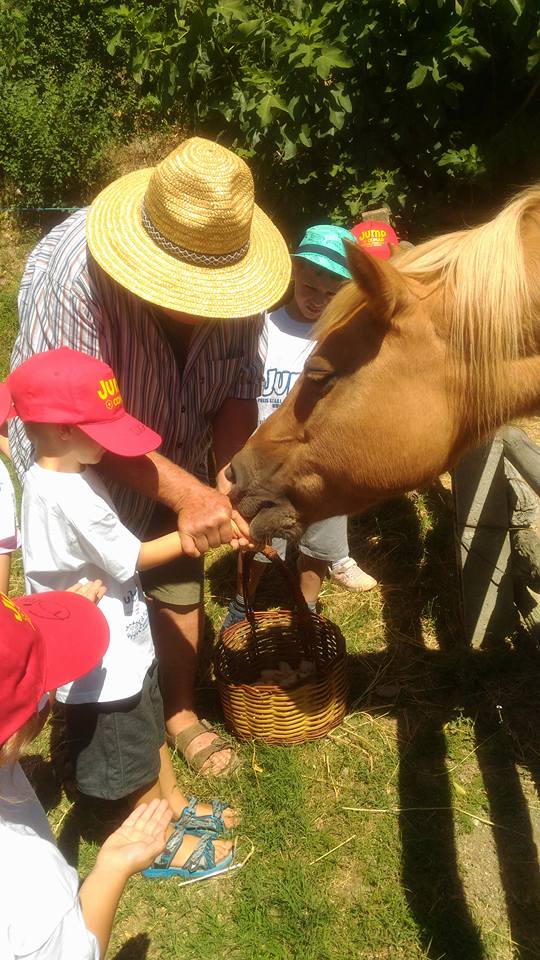 Escursioni nel bosco e arrampicate, ecco il centro estivo per scoprire la natura