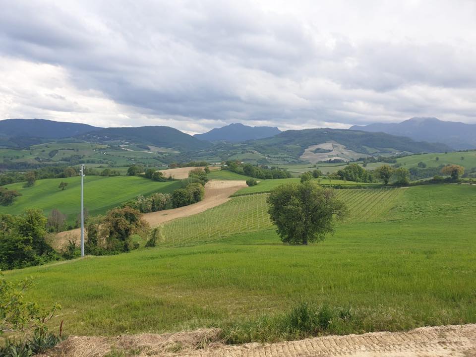 59495690_1208517329308924_8887289462963306496_n