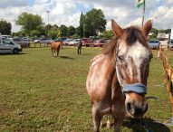 Fano Geo ai nastri di partenza. Domani inaugurazione della due giorni di Fieragricola