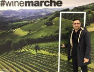 Il Lubaco Pergola Doc della Cantina Terracruda conquista Londra. All’IWC medaglia di bronzo