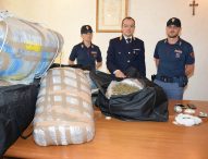 Operazione antidroga, sequestrata mezza tonnellata di marijuana