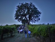 La Staffetta del BIanchello fa tappa alla Cantina Terracruda
