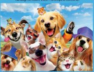 Al via il concorso fotografico “4 zampe per 4 stagioni”