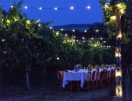 Tornano le Cene in vigna di Terracruda