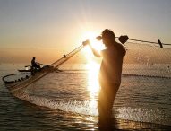 A Marotta la Festa della Tratta, green e sostenibile