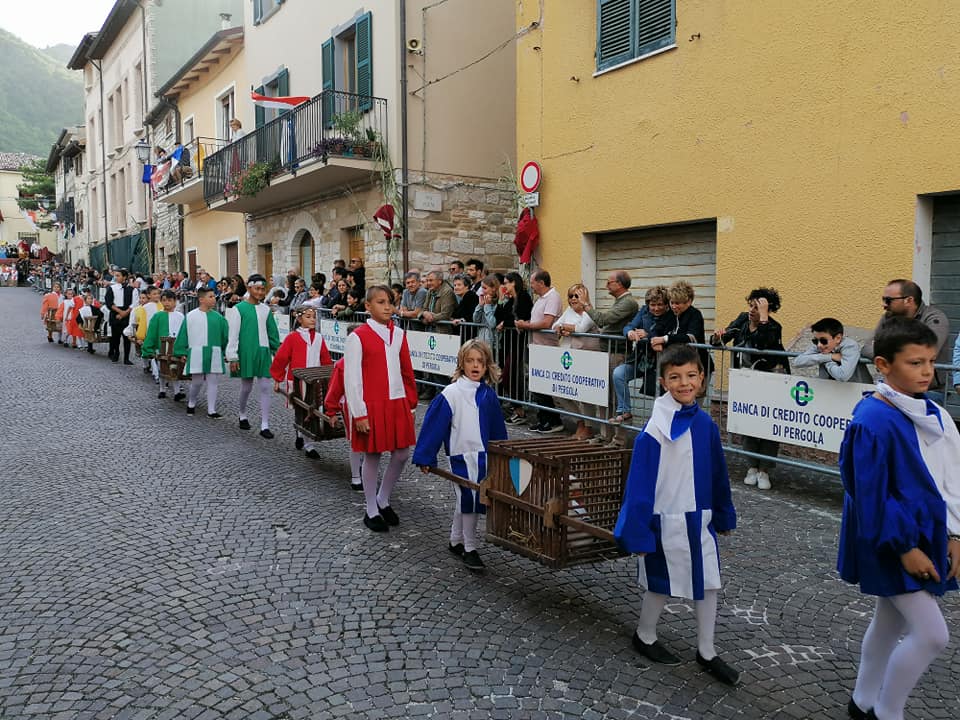 69651884_2490730047880623_6200237547537301504_n