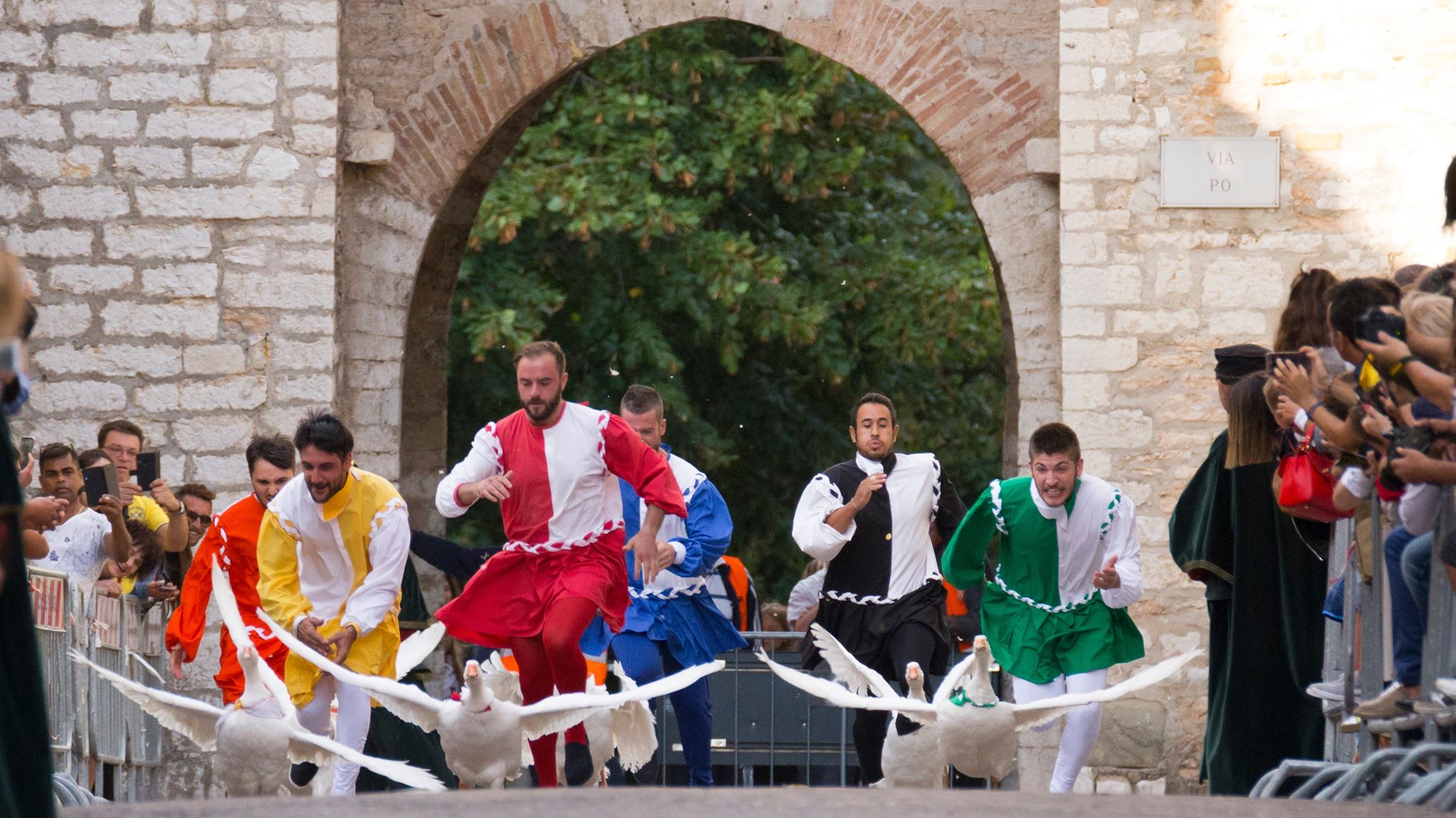 69805303_485604912017016_7451433839521431552_n