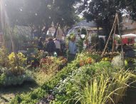 Espositori, workshop e laboratori, il Pincio fiorisce con l’apertura della grande mostra mercato