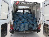 Pesca di frodo, sequestrati 750 kg di vongole