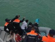 Rilasciate in mare aperto le piccole tartarughe. Plauso della Città alla Fondazione Cetacea e ai suoi volontari