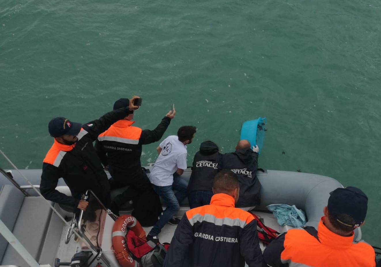 3 Rilascio delle tartarughe