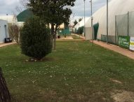 Circolo Tennis Fano rilanciato grazie alla sinergia tra gestori e amministrazione comunale
