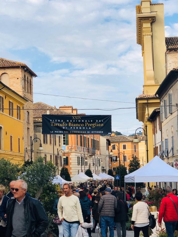 La Fiera Nazionale del Tartufo di Pergola concede il bis: ospiti Magalli, Bicio, Il Diavolo & l’Acqua santa