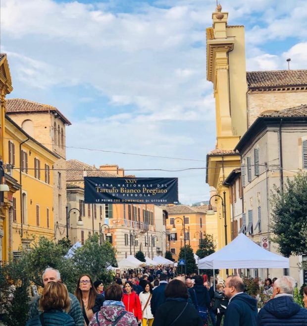 Ottima partenza per la Fiera Nazionale del Tartufo di Pergola. Un successo Il Teatro dei Golosi