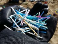 Beach Litter: oltre 11mila i rifiuti trovati sulle spiagge marchigiane