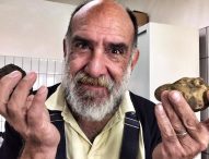 Acqualagna, ultimo weekend della Fiera del Tartufo con gli chef del Gambero Rosso. Prezzo tartufo scende di 1000 euro