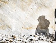 dr.gam, in arrivo “Another Family” negli Stati Uniti e Canada