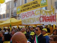 Coldiretti Marche, la protesta di Montecitorio sulla fauna selvatica: 150 incidenti in regione, il 90% per caprioli e cinghiali