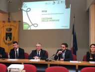 Ponte ciclopedonale Marotta – Senigallia: presentato il progetto