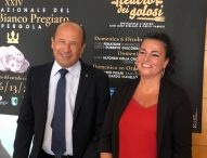 Turismo e promozione, rinnovata convenzione tra Comune di Pergola e Confcommercio