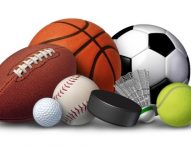 Basket, la difficile stagione di Pesaro