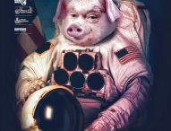 Luna Pork, a Sant’Andrea di Suasa torna La Festa del Nino