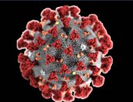 Coronavirus, primo morto nelle Marche. L’88enne è deceduto a Fano